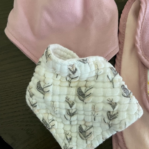 2/$10 Baby Girl Bib Bundle (7 Bibs) - Picture 3 of 13